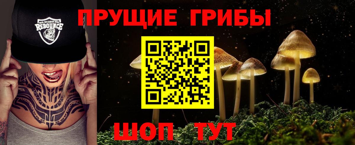Галлюциногенные грибы Cubensis  продажа наркотиков  Иваново  Псилоцибиновые грибы прущие грибы  Вход с VPN 